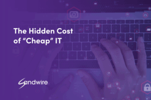 The Hidden Cost of "Cheap" IT written in white text over purple background with person typing on laptop